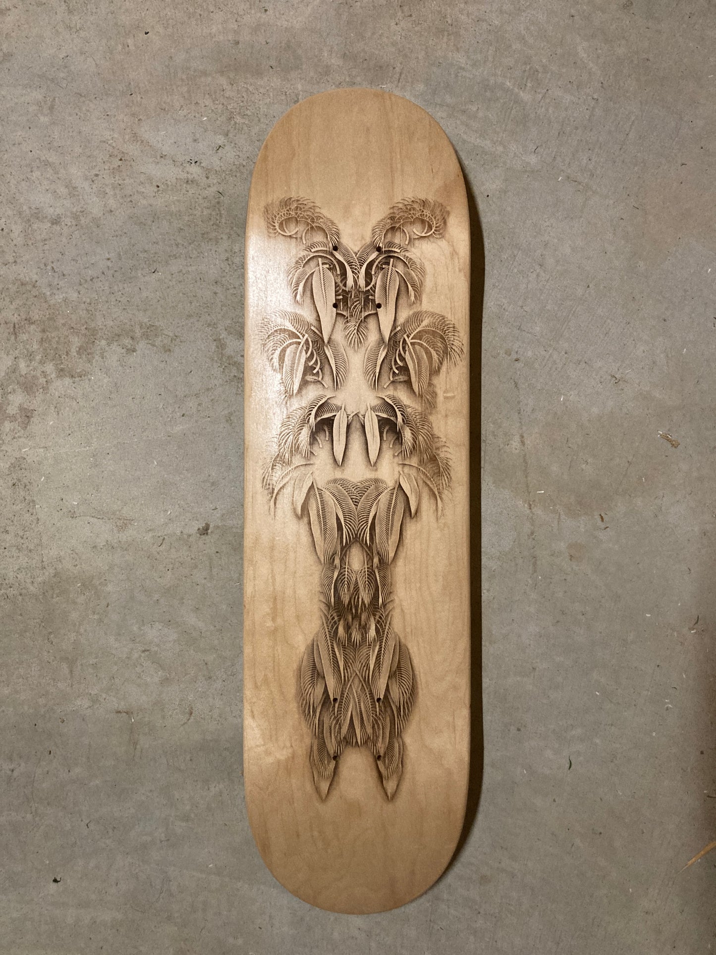 Featheristra Series