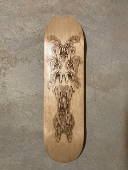 Featheristra Series