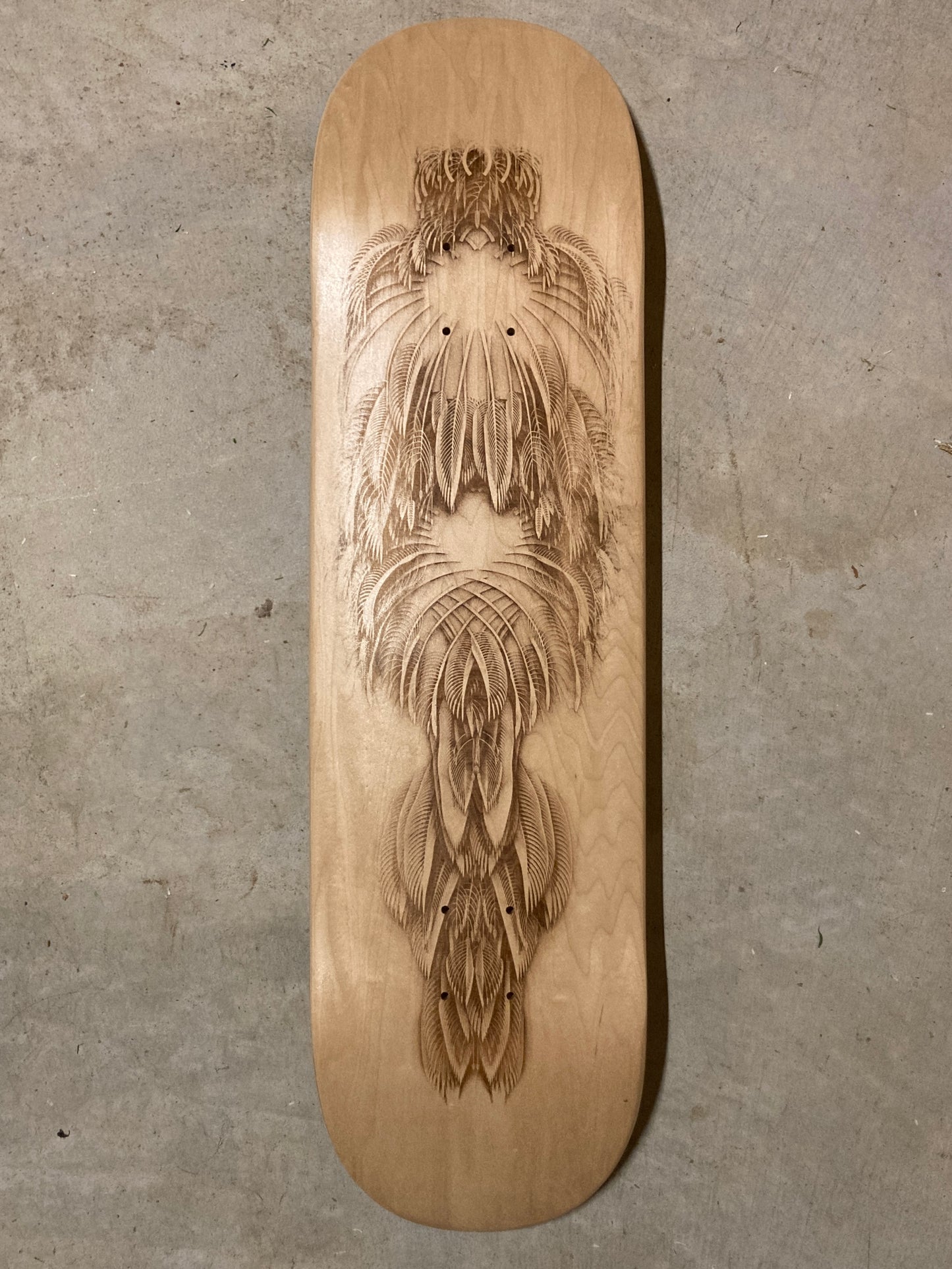 Featheristra Series