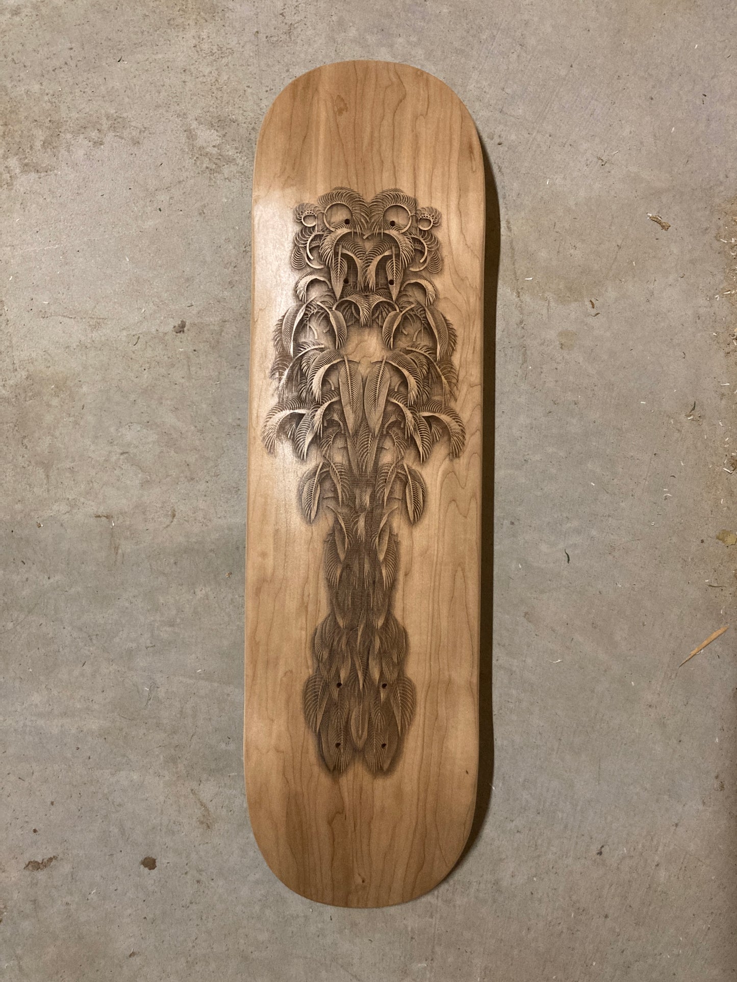 Featheristra Series