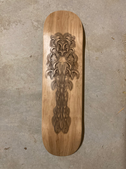 Featheristra Series