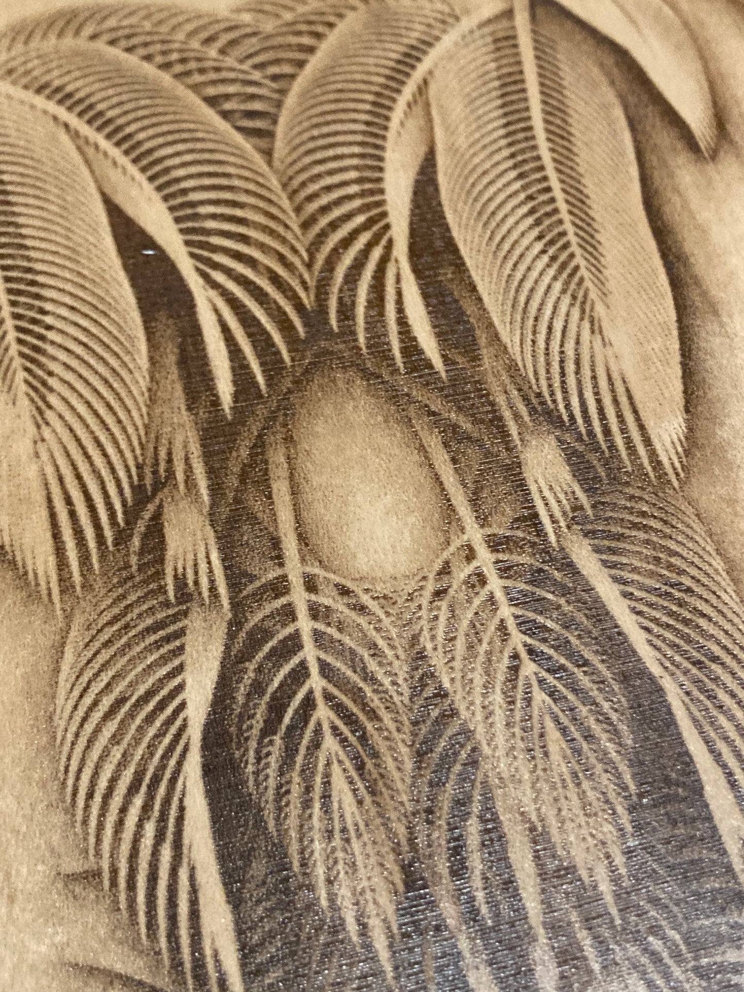 Featheristra Series