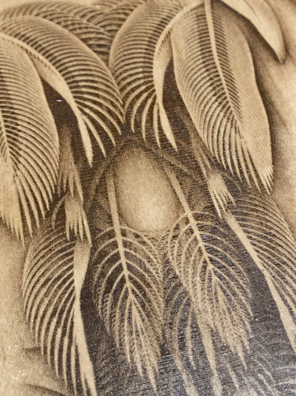 Featheristra Series