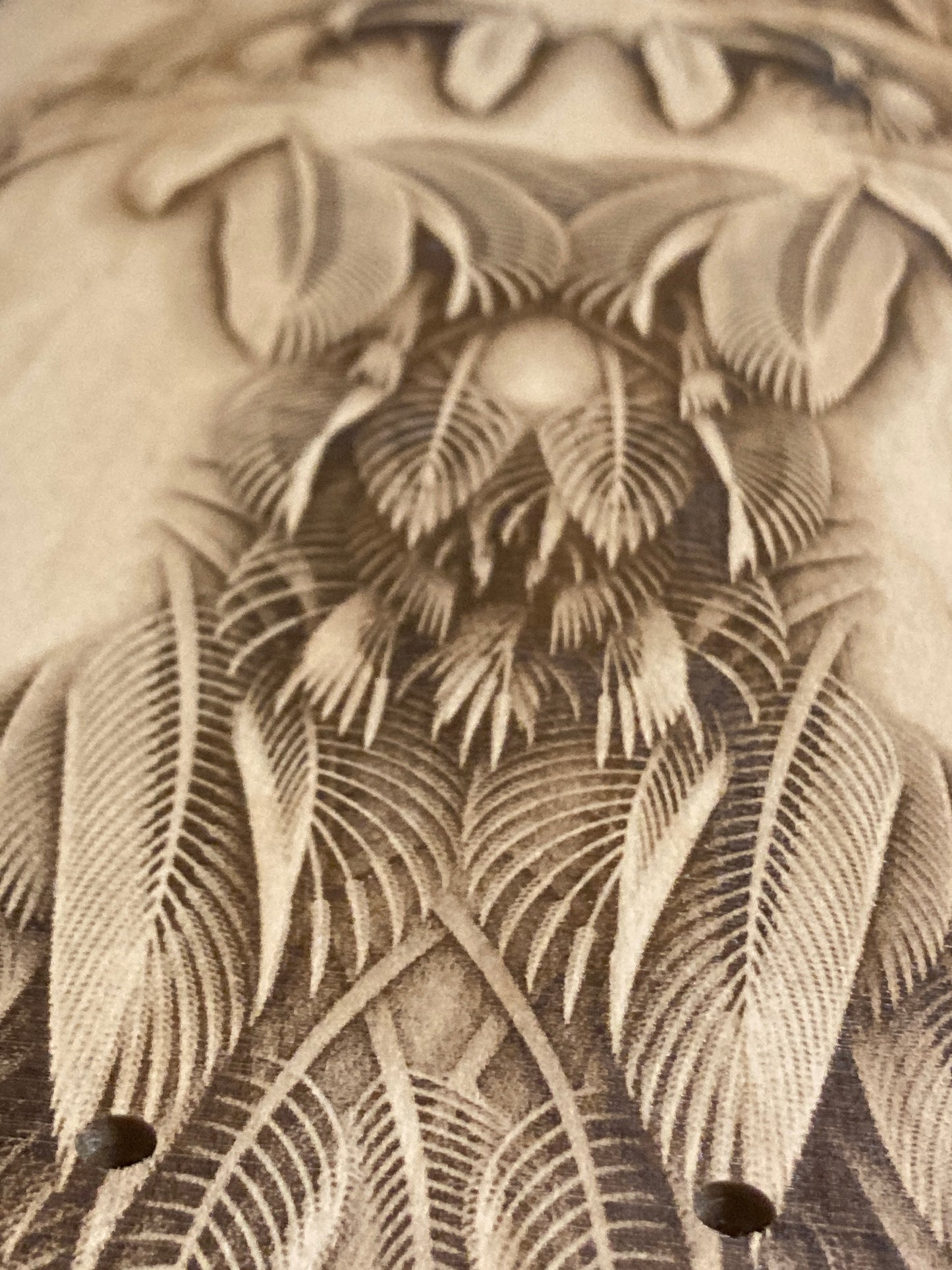 Featheristra Series