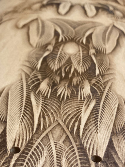 Featheristra Series
