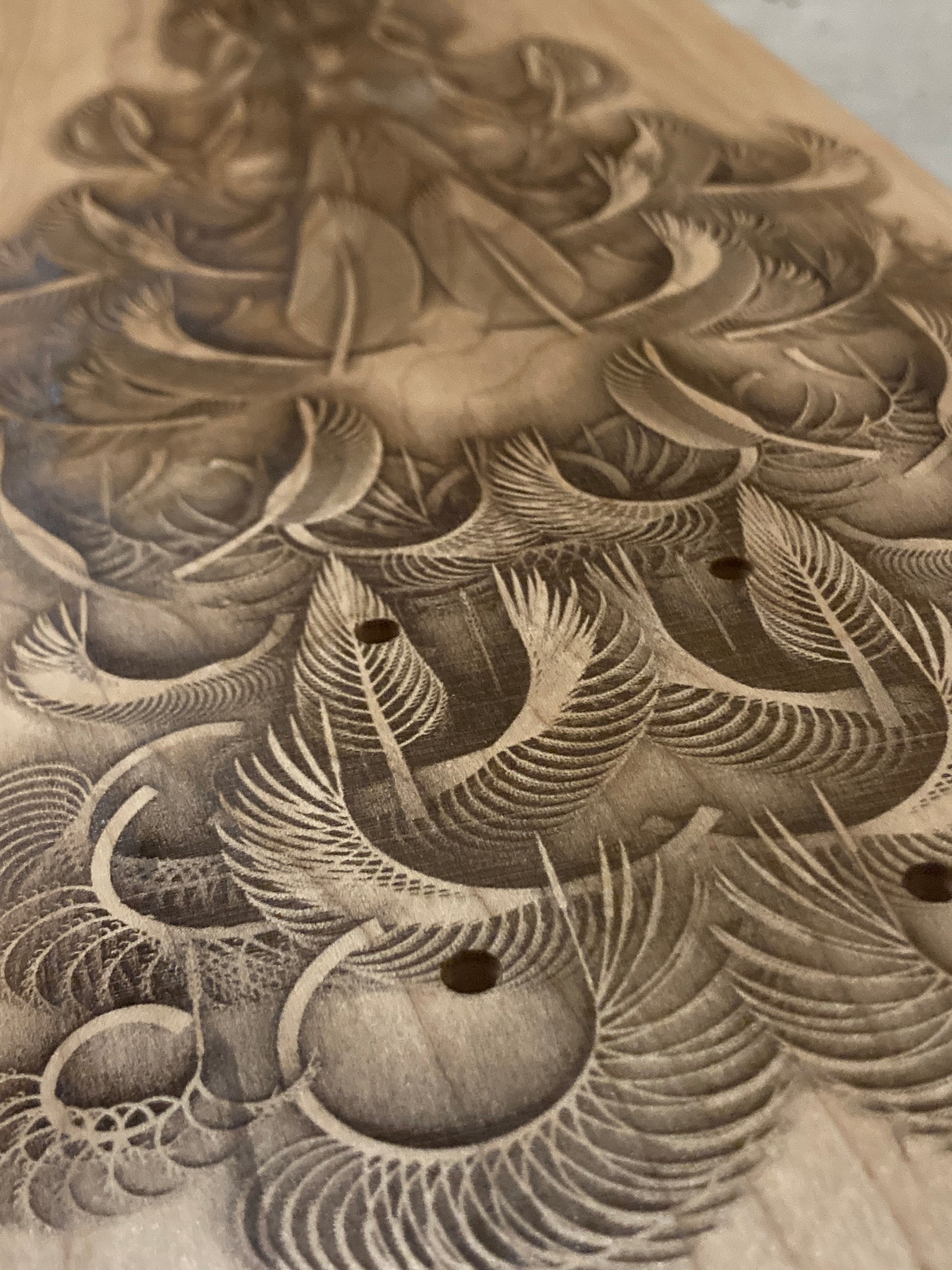 Featheristra Series
