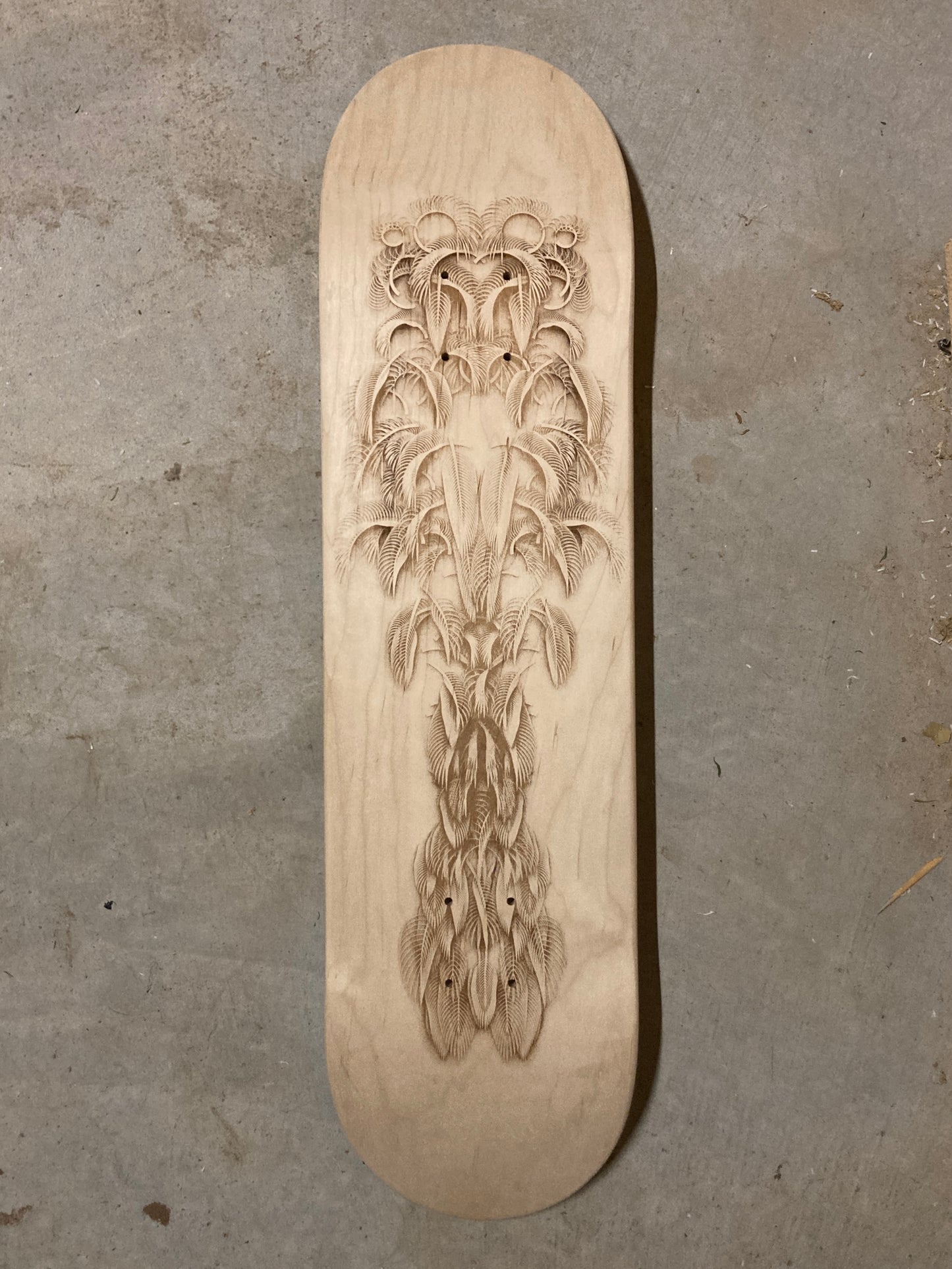 Featheristra Series