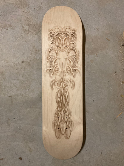 Featheristra Series