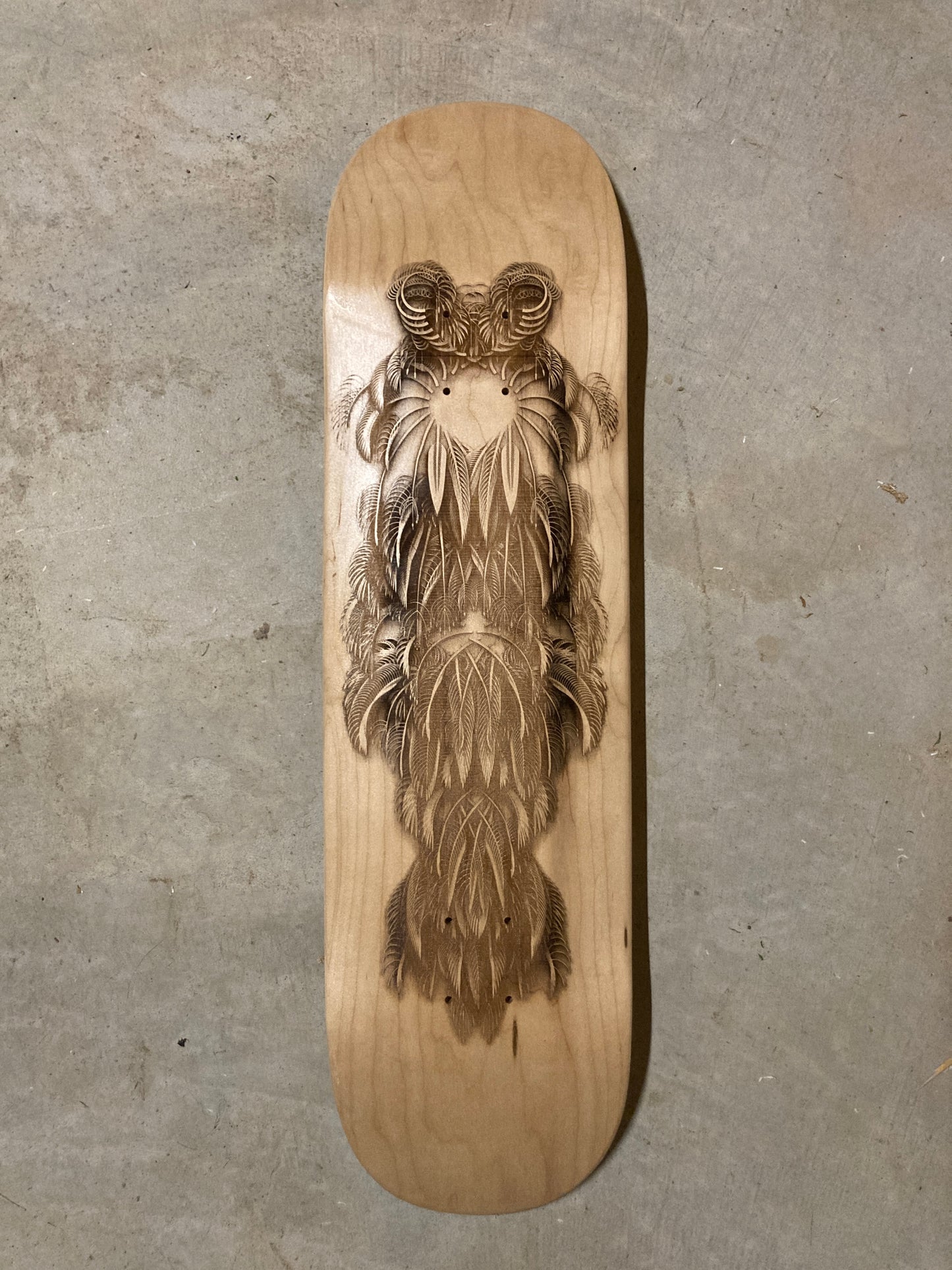 Featheristra Series