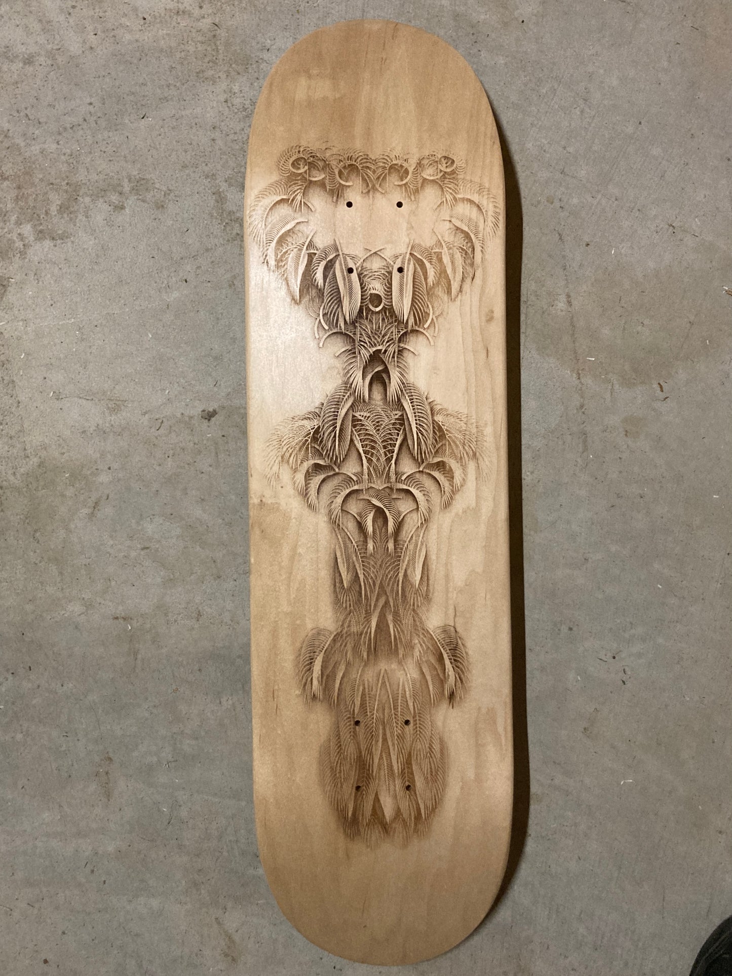 Featheristra Series
