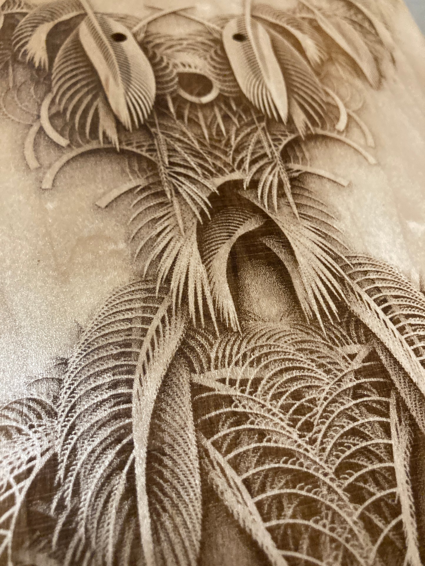 Featheristra Series