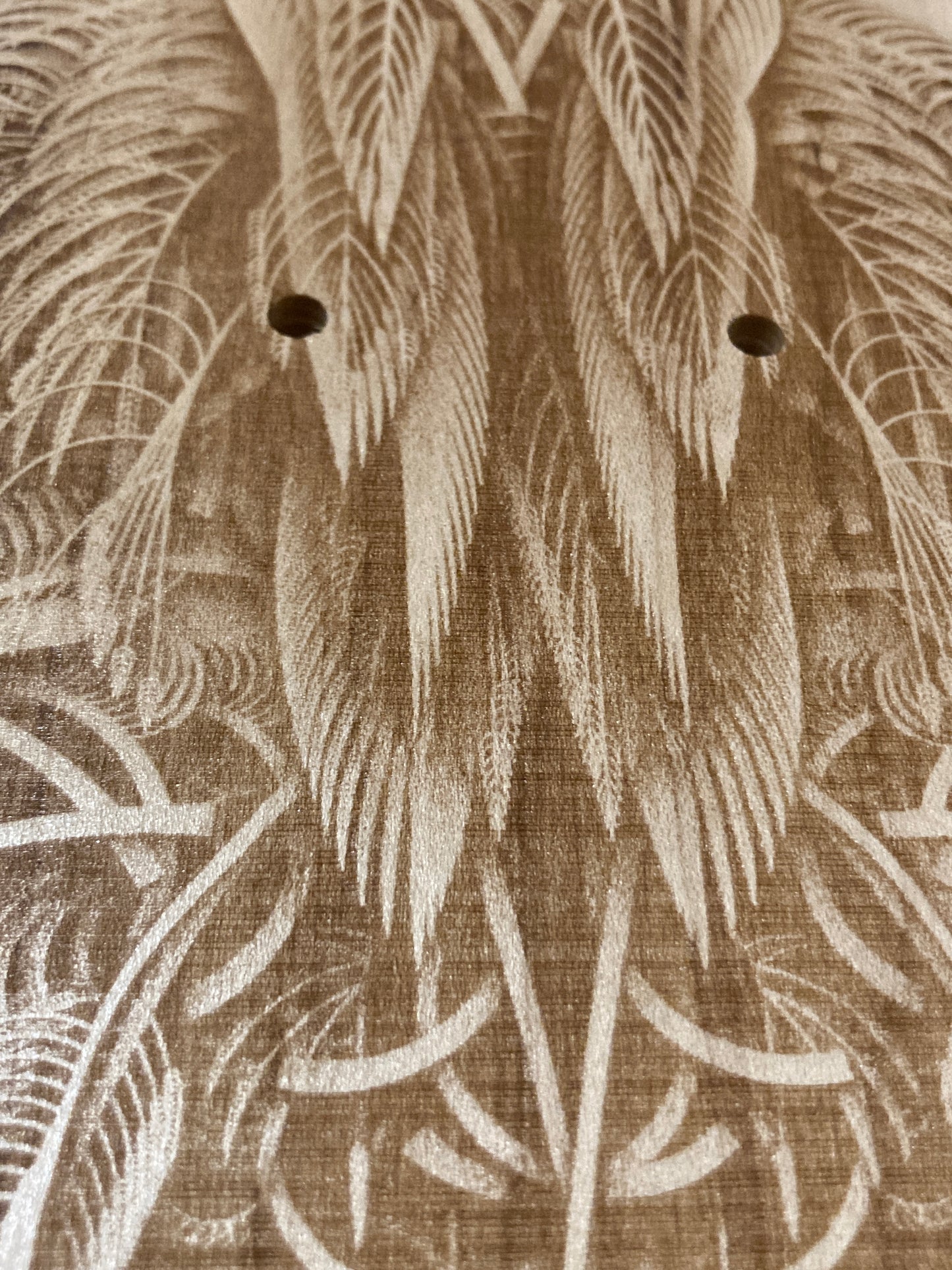 Featheristra Series