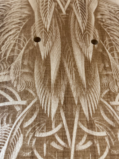 Featheristra Series